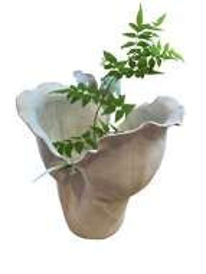 Anna Scholz Ceramics