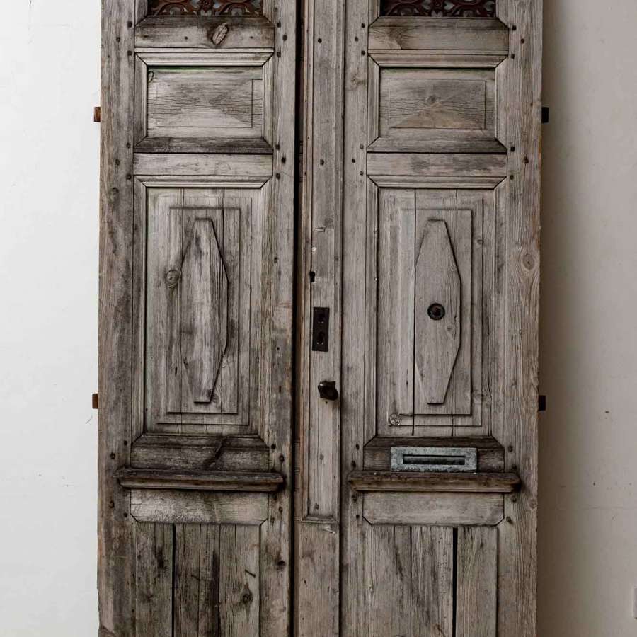 French C19th, pair of wood & metal doors