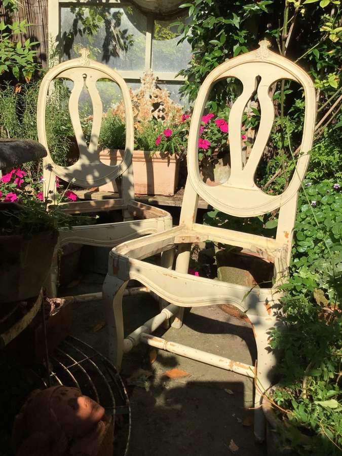 C1800s set of (6) Swedish painted Provincial Gustavian chairs