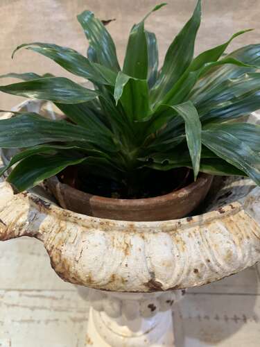 C1920s pair of painted cast iron french urns