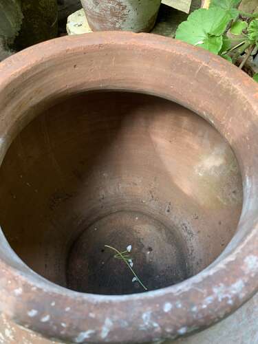 C19th Chinese terracotta storage pot