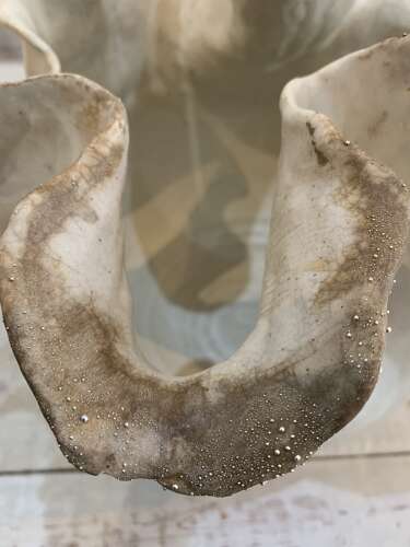 Anna Scholz hhandmade ceramic ‘Argent’ vase with silver accents